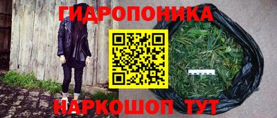 гидра Обь